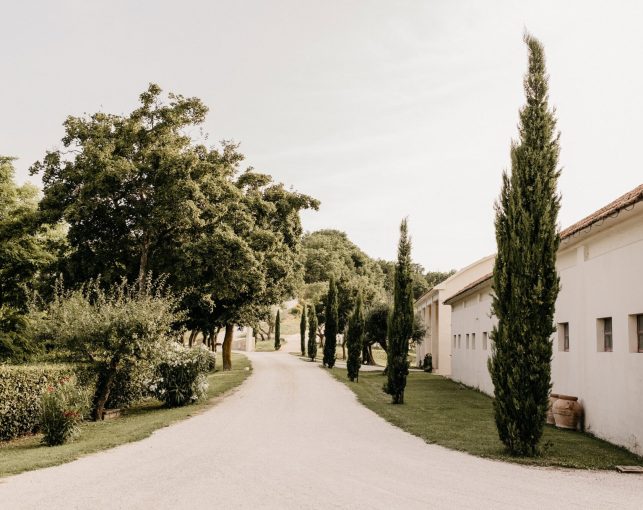 JaimyNoordeloosPhotography-0i